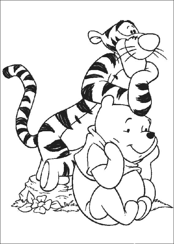 Раскраска Тигр и Винни. Винни Пух