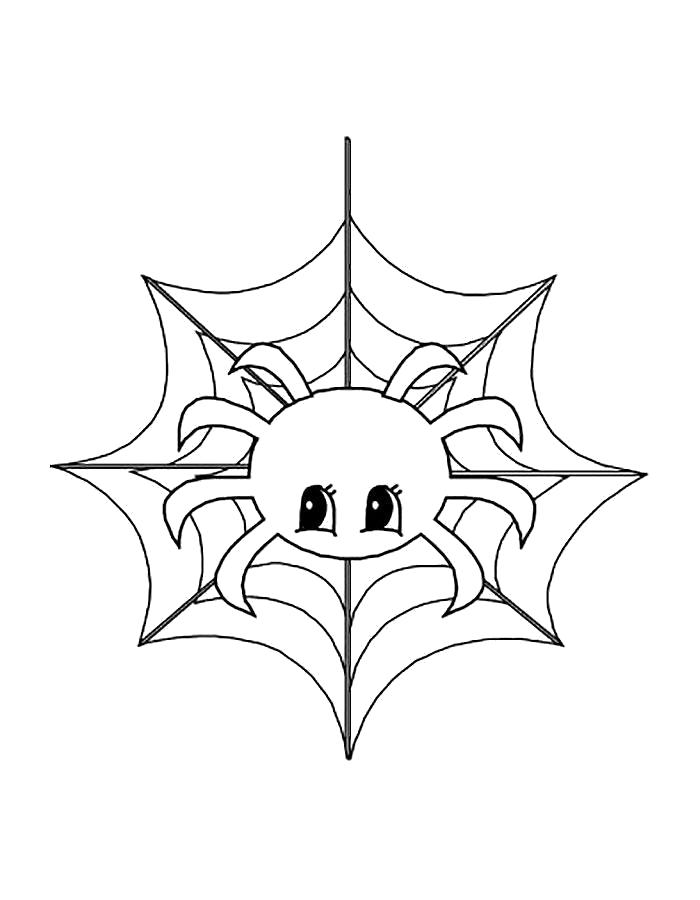 Название: Раскраска Раскраска паук сплел паутину. Категория: Паук. Теги: Паук.