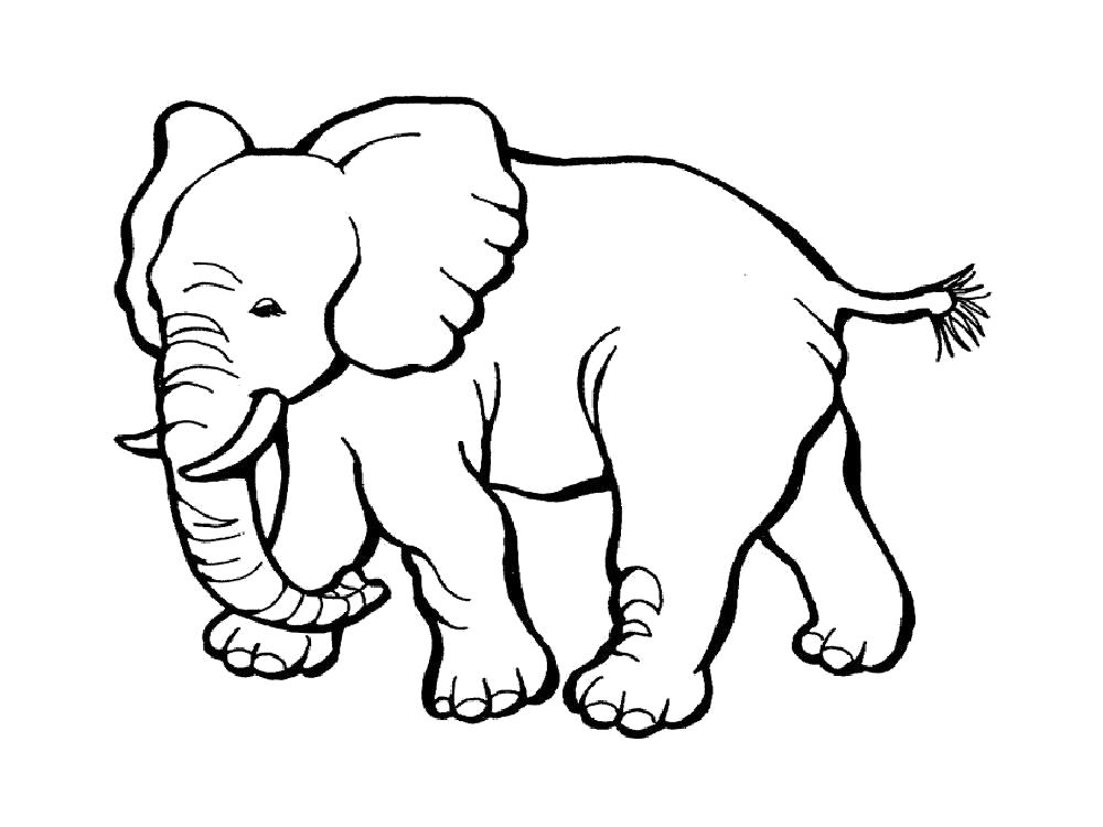 Раскраска Раскраска слон папа. слон