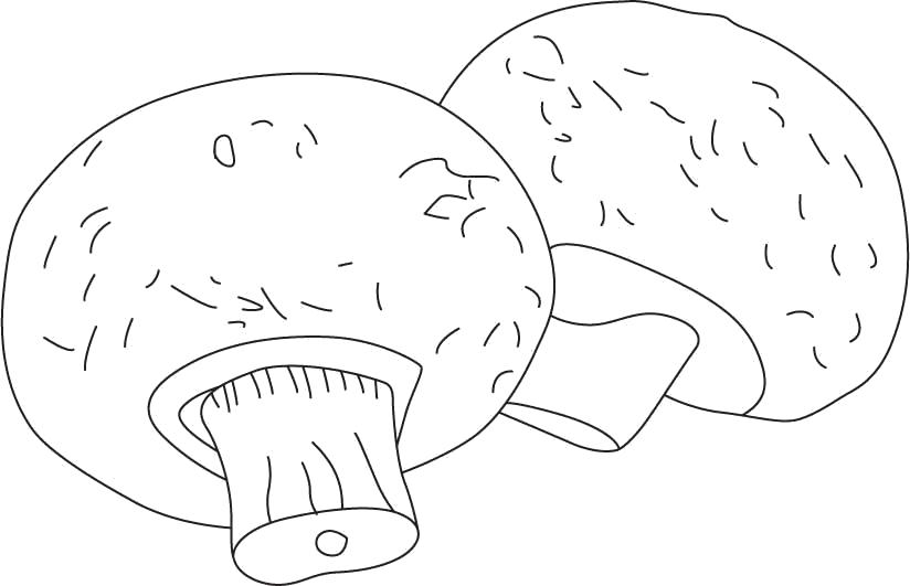 Раскраска  трафареты большие грибы, шаблон для поделок из бумаги. Скачать гриб.  Распечатать растения