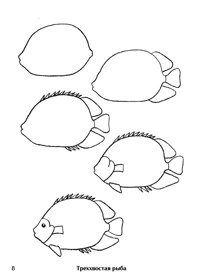 Раскраска Как нарисовать рыбу поэтапно. Как нарисовать