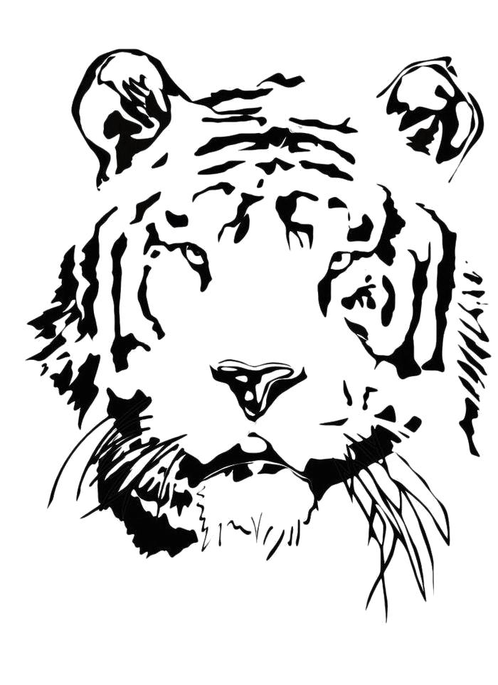 Раскраска Лицо тигра. Скачать Тигр.  Распечатать Дикие животные