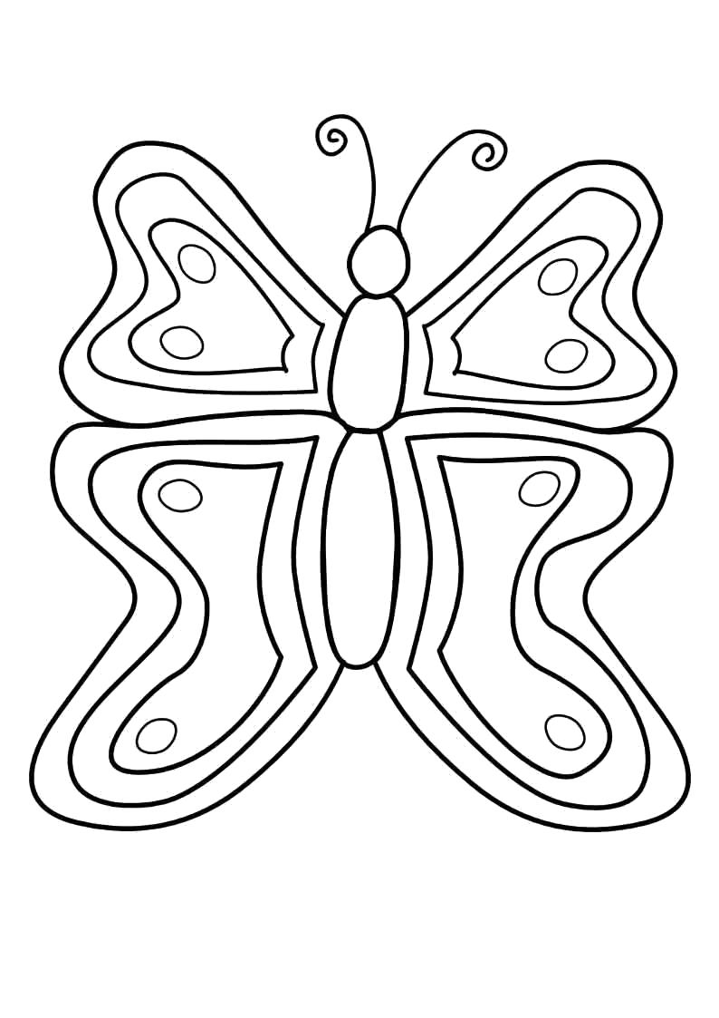 Название: Раскраска бабочка с усиками. Категория: Бабочки. Теги: Бабочки.