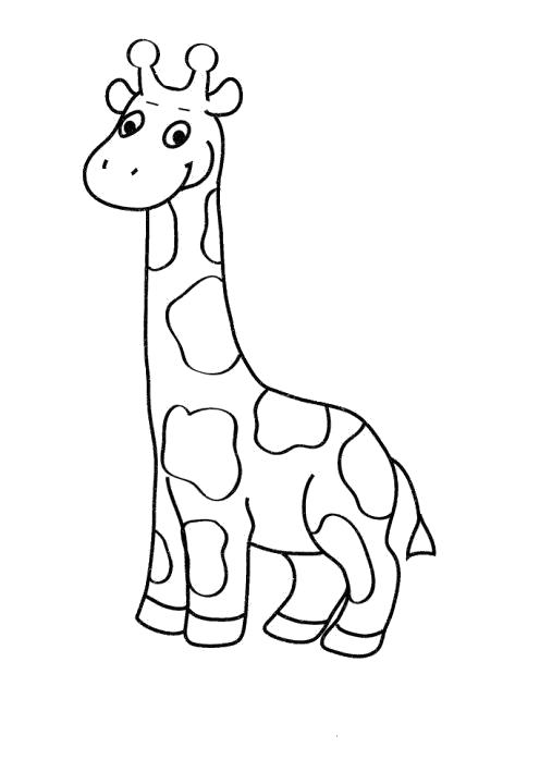 Название: Раскраска Раскраска жираф. Категория: жираф. Теги: жираф.