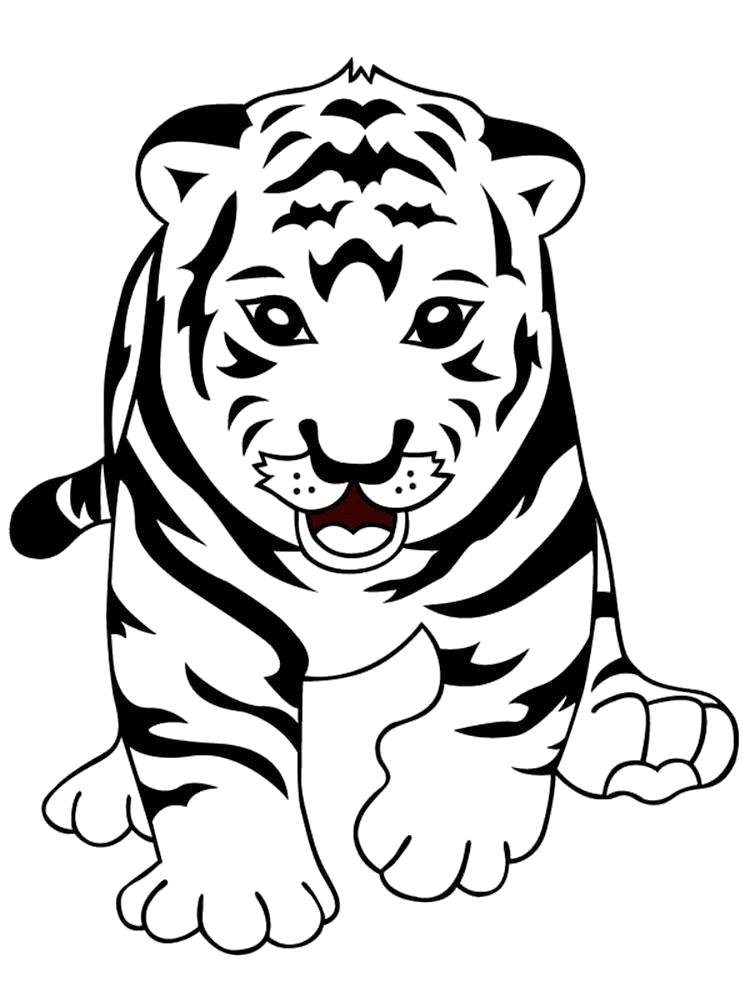 Раскраска Зоопарк Скачать или распечатать раскраску, бегущий тигренок  распечатать. Скачать Тигр.  Распечатать Дикие животные