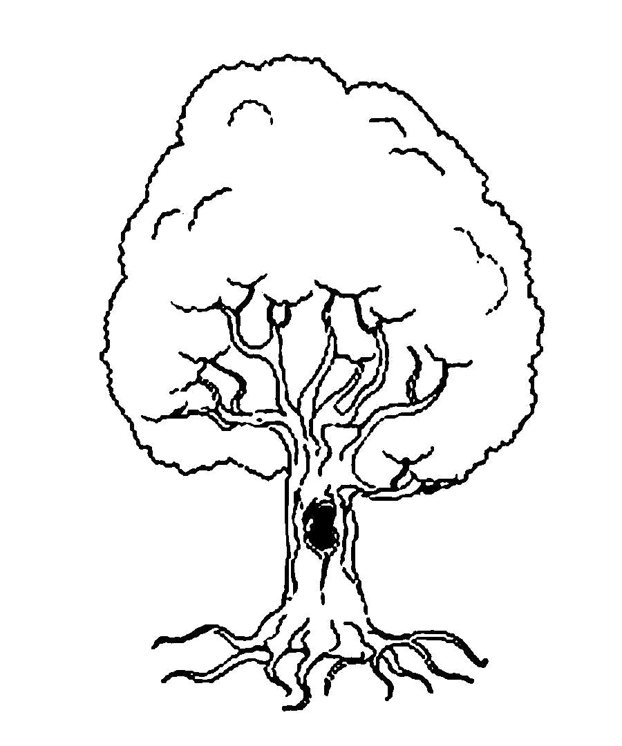 Название: Раскраска Раскраски Деревья для вырезания из бумаги дерево. Категория: растения. Теги: дерево.