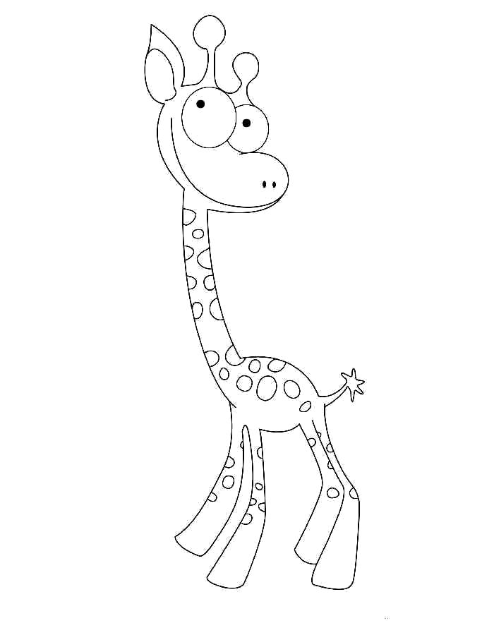 Раскраска  жираф. Скачать жираф.  Распечатать жираф
