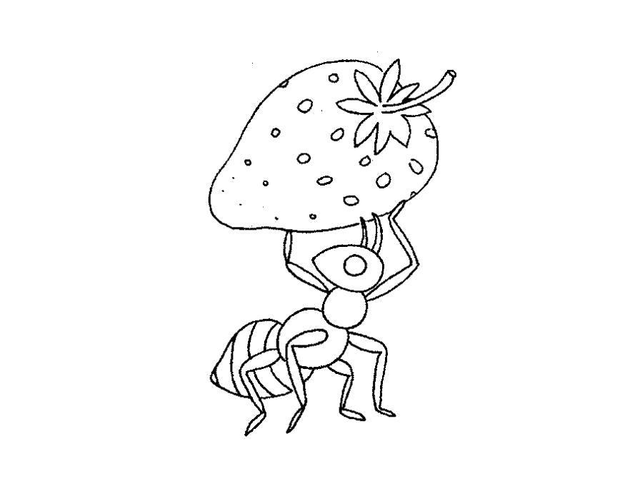 Раскраска Раскраска муравей тащит землянику. Муравей
