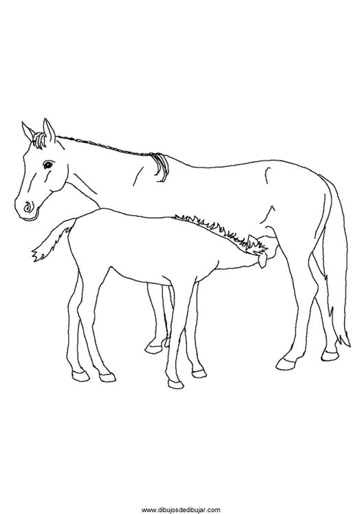 Название: Раскраска Раскраски лошадка лошадка, жеребенок, лошади, раскраска для детей. Категория: Лошадка. Теги: Лошадка.
