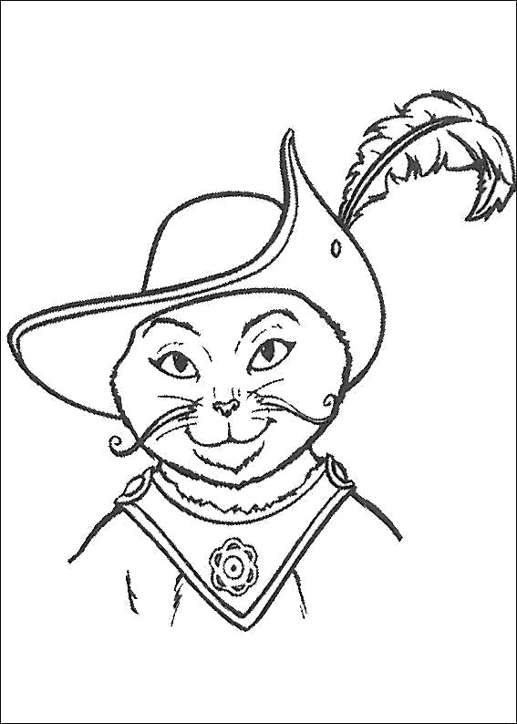 Раскраска кот из мультфильма Шрек. шрек