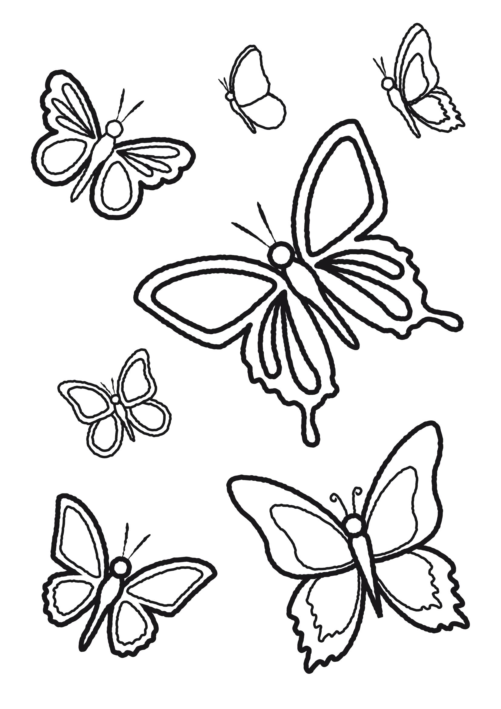 Название: Раскраска Разные бабочки. Категория: Насекомые. Теги: Бабочки.