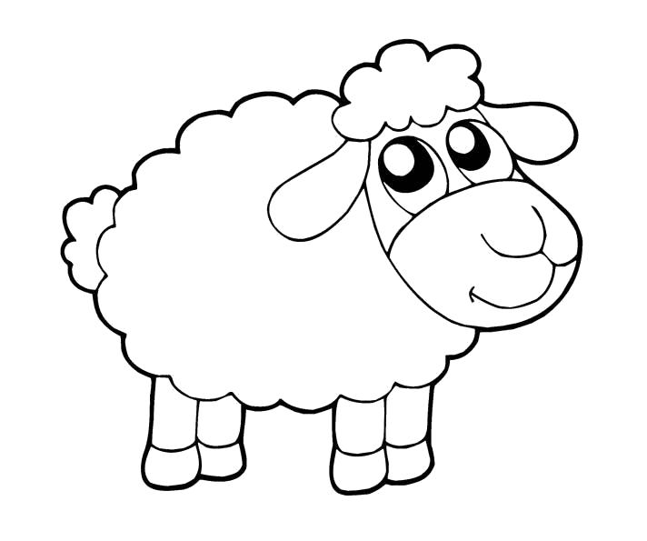 Раскраска Маленькая овца. Скачать Овца.  Распечатать Овца