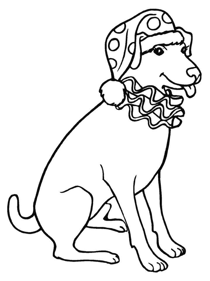 Раскраска  Собака в шапке Деда Мороза. Скачать Собака.  Распечатать Собака