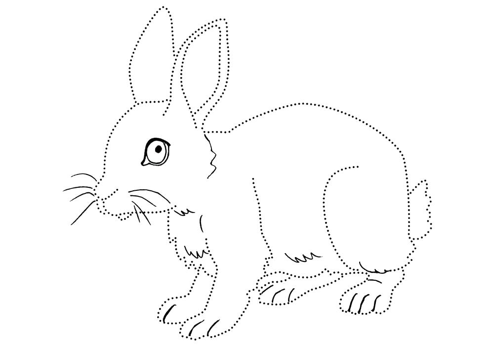 Название: Раскраска Раскраска кролик для детей. Заяц обведи по точкам.. Категория: Домашние животные. Теги: Заяц.