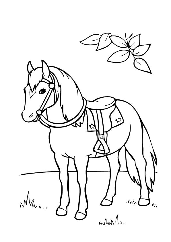 Название: Раскраска Раскраска Лошадь. Категория: Домашние животные. Теги: Лошадь.