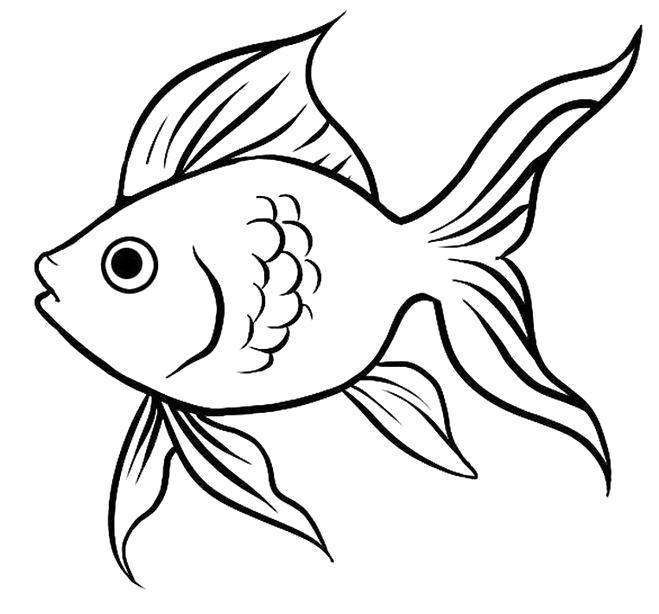 Название: Раскраска Золотая рыбка. Категория: . Теги: .