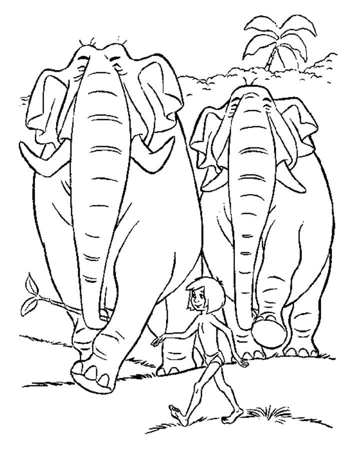 Раскраска Слоны и  Маугли. 