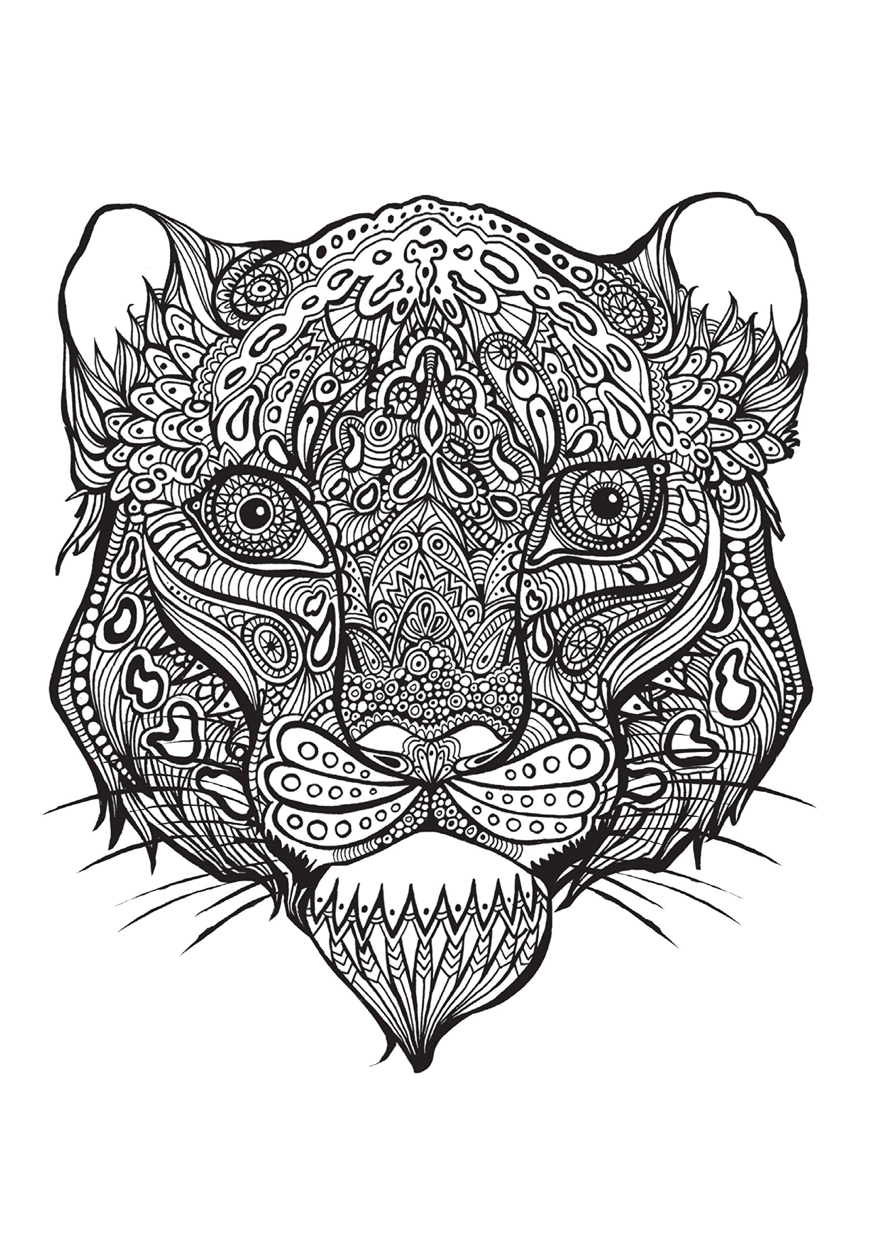 Раскраска Голова тигра, Антистресс. Дикие животные