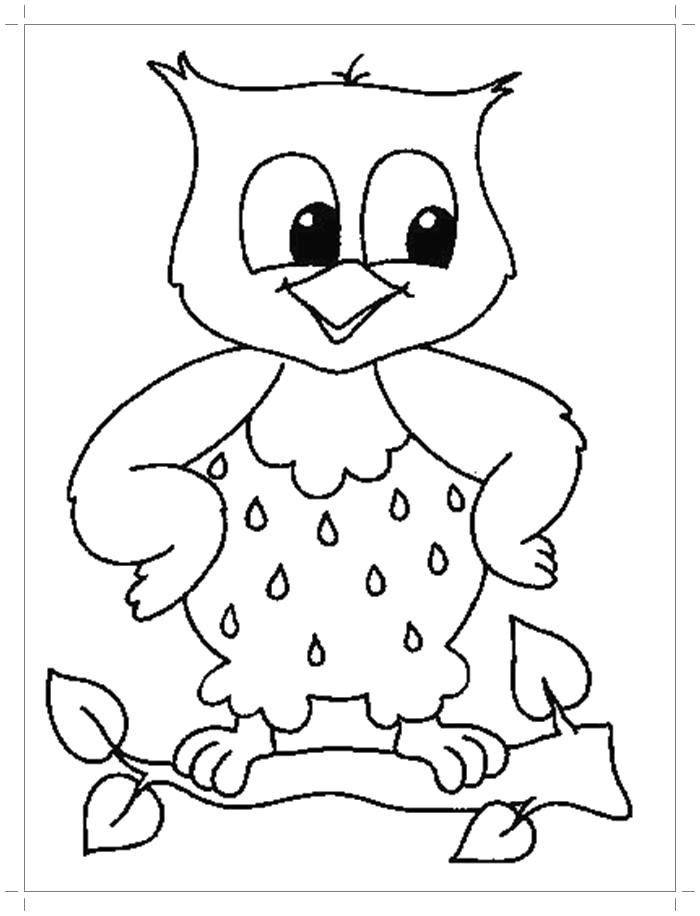 Название: Раскраска Раскраска сова на ветке. Категория: Сова. Теги: Сова.