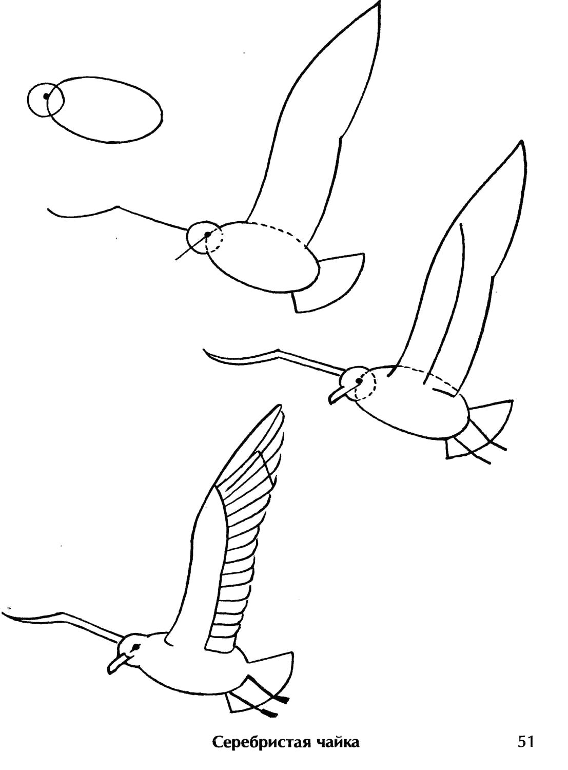 Как нарисовать сказку про Рыбака и Золотую Рыбку карандашом поэтапно? Как нарисовать рыбу поэтапно
