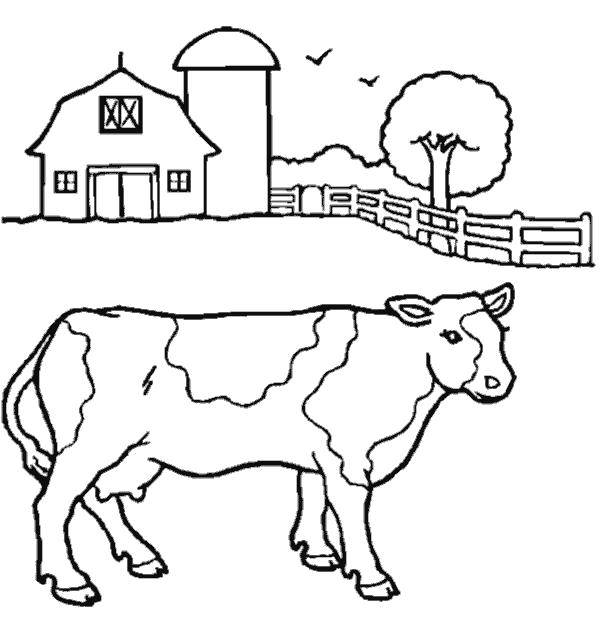 Название: Раскраска Ферма. Категория: Домашние животные. Теги: Корова.