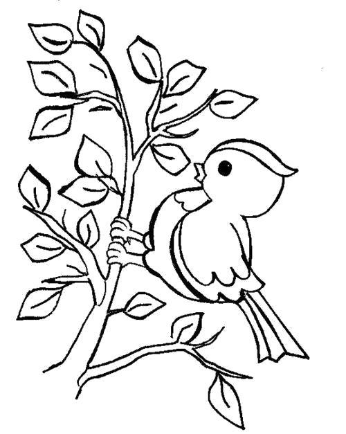 Раскраска Раскраска Пташка на ветке. листья