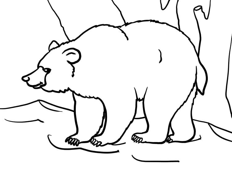 Раскраска Огромный медведь. Дикие животные