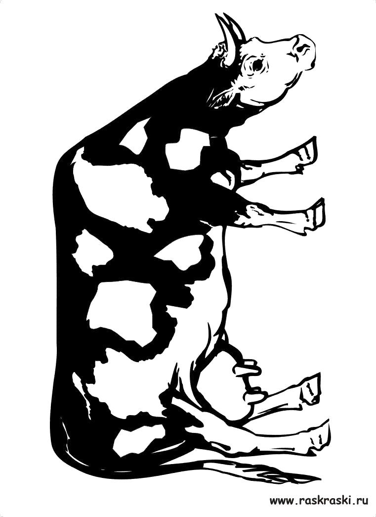 Раскраска Коровка. Домашние животные
