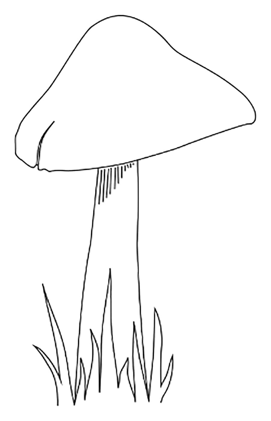 Название: Раскраска Раскраски шаблон гриба гриб на тонкой ножке для вырезания из бумаги. Категория: растения. Теги: гриб.