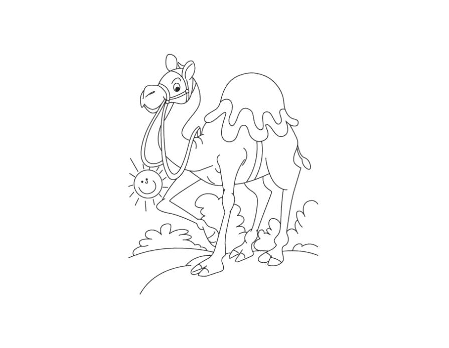 Название: Раскраска Раскраска верблюдик. Категория: Верблюд. Теги: Верблюд.