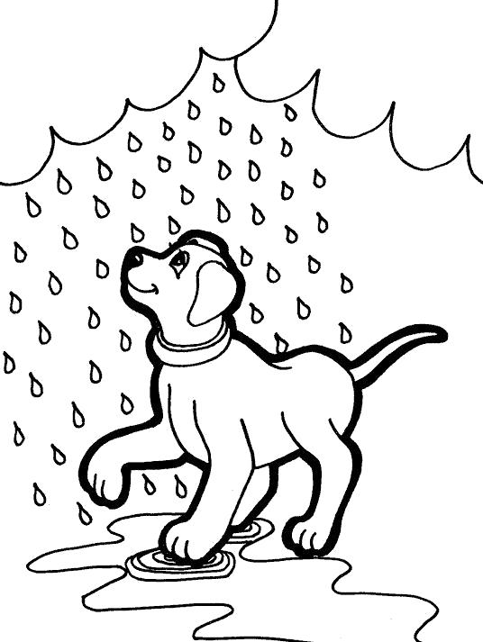 Раскраска Собачка любит дождь. Скачать дождь.  Распечатать дождь
