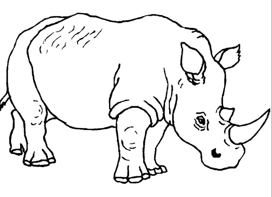 Раскраска Носорог большой . Скачать Носорог.  Распечатать Дикие животные