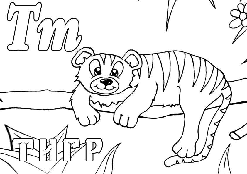 Раскраска Раскраски "Зоопарк", Буква Т, Тигр. буквы