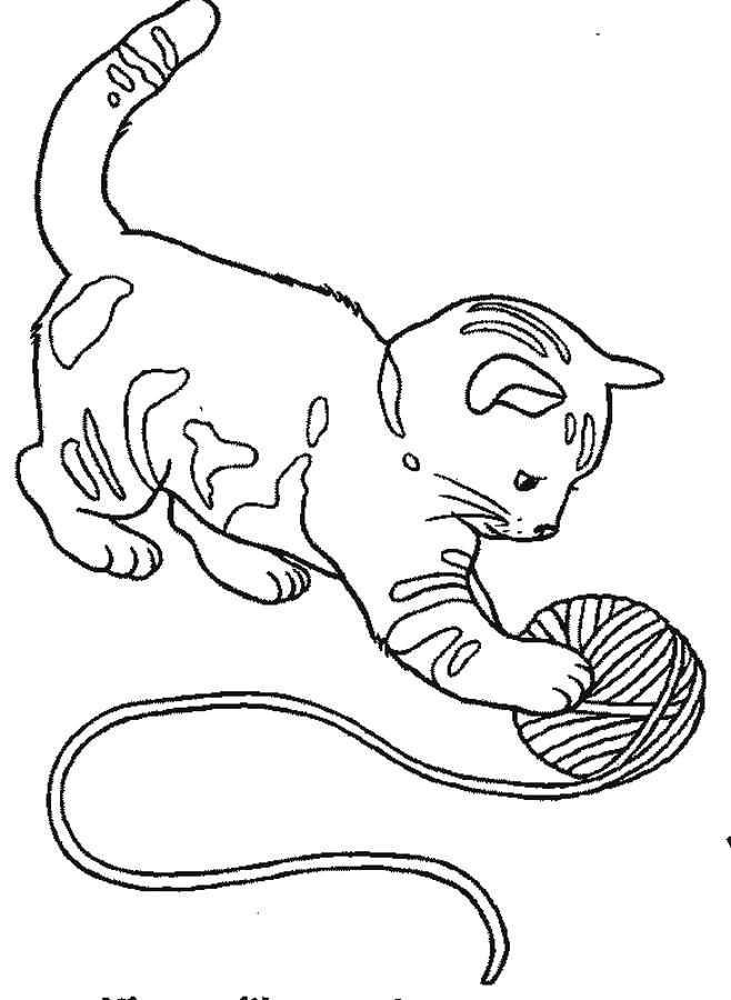Раскраска  котенка с клубком ниток. Домашние животные