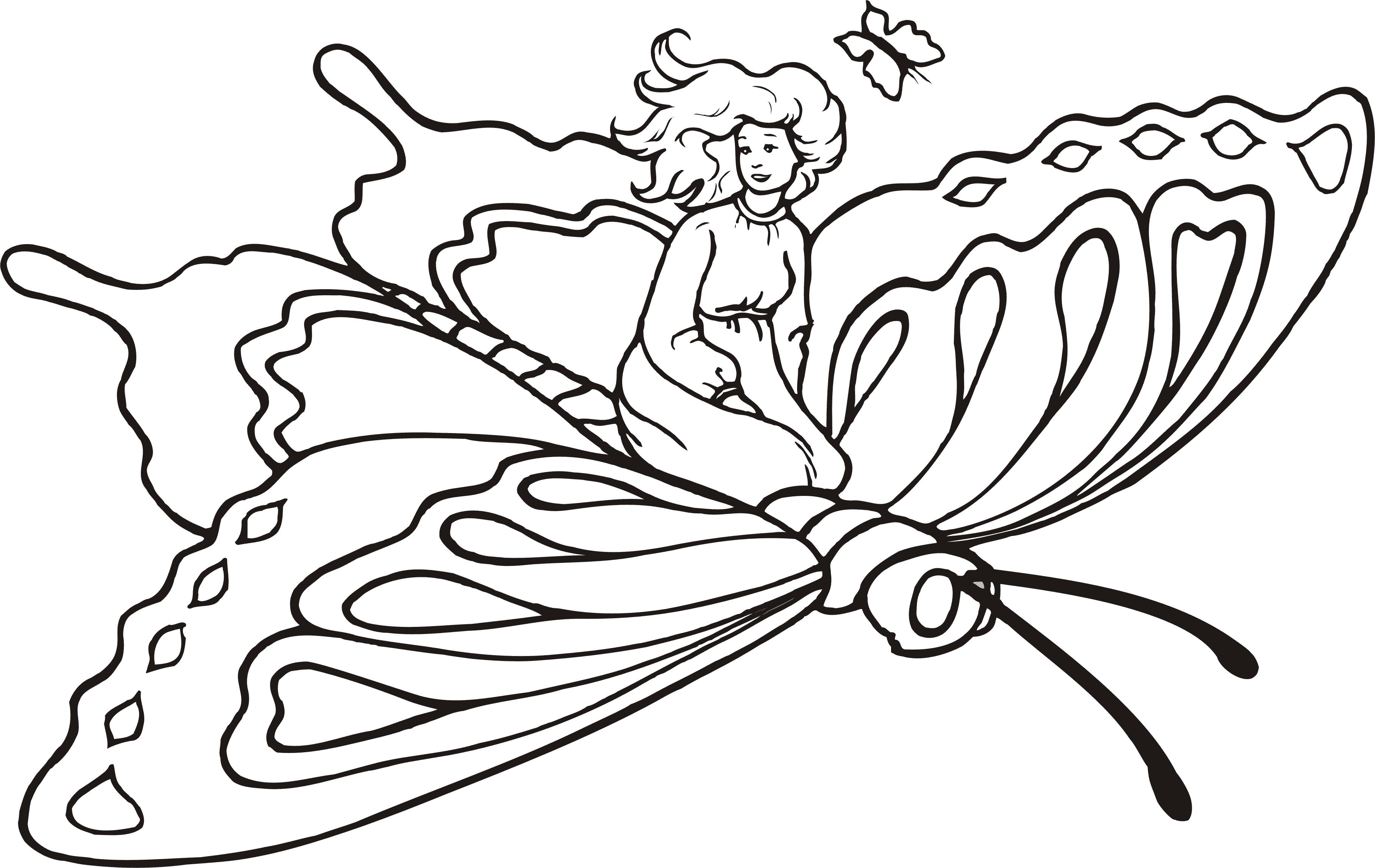 Раскраска Фея на бабочке. 