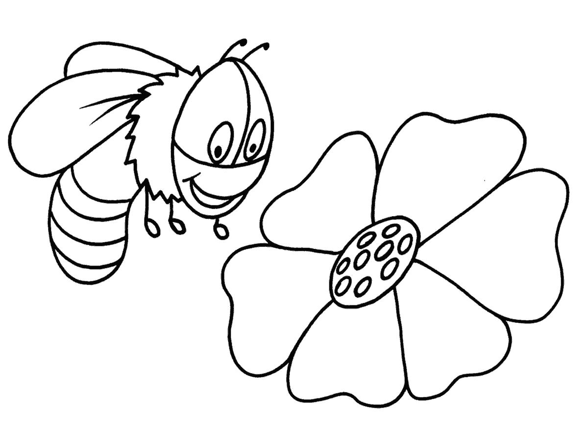 Раскраска пчела рада цветку. Скачать Пчела.  Распечатать Пчела