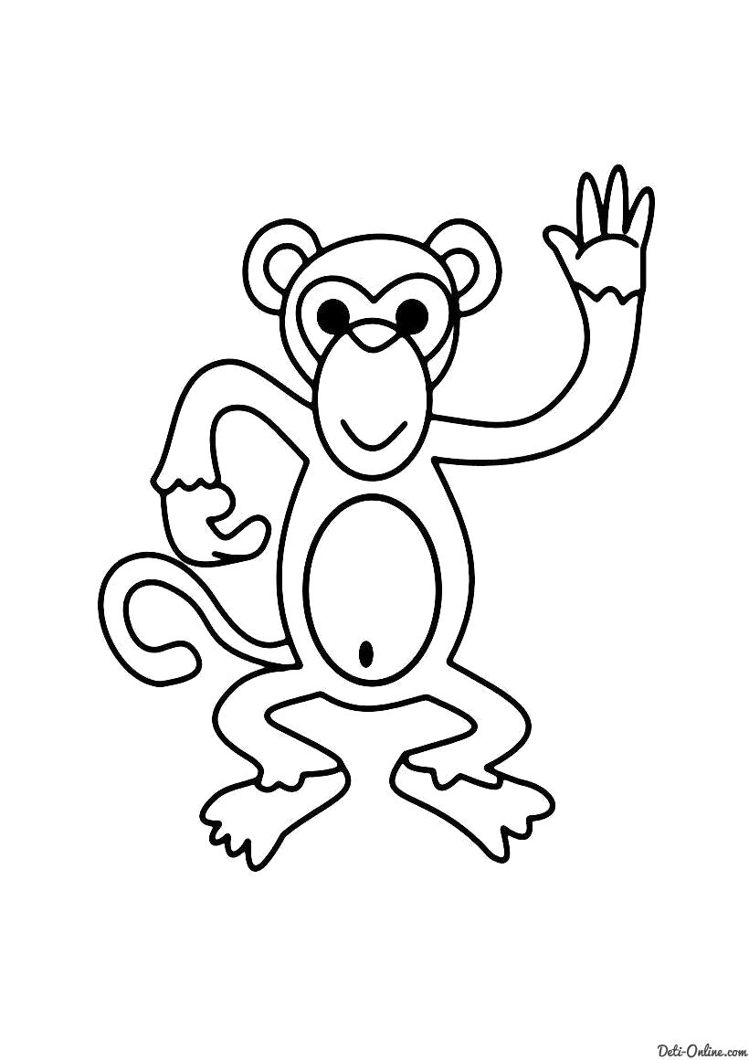 Название: Раскраска Раскраска Обезьяна говорит привет. Категория: Дикие животные. Теги: обезьяна.