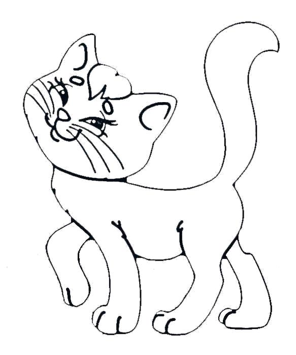 Раскраска Раскраски кошки  кошка, раскраски для детей, домашние животные . Домашние животные