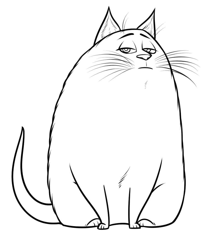 Раскраски живот, Раскраска Толстый кот животных.
