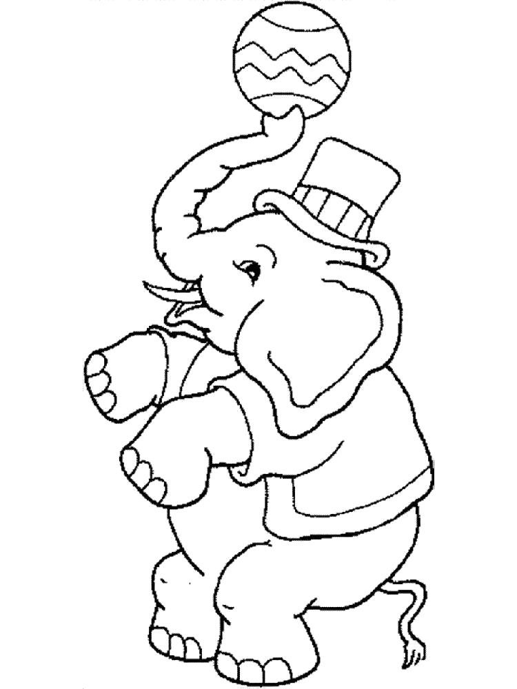 Раскраска  слон в цирке. Скачать слон.  Распечатать слон