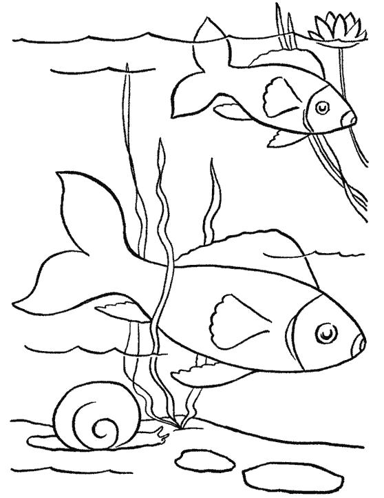 Раскраска Рыбки. Скачать рыба.  Распечатать рыба