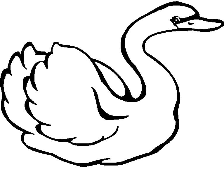 Название: Раскраска . Категория: Лебедь. Теги: Лебедь.