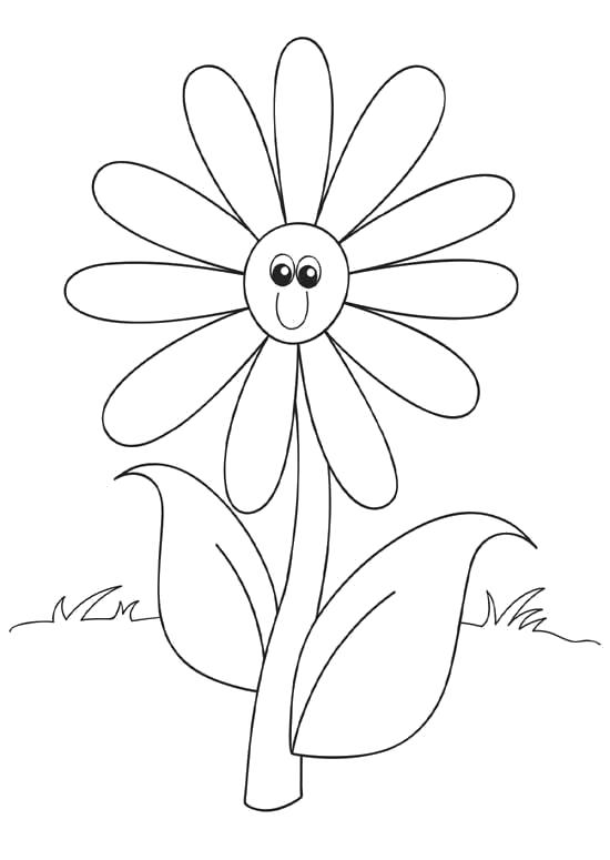Название: Раскраска ромашка. Категория: цветы. Теги: цветы.