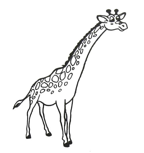 Раскраска Жираф вытянул шею. Скачать жираф.  Распечатать Дикие животные