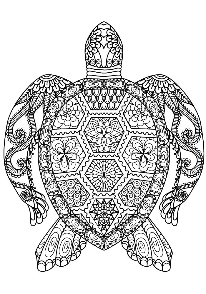Раскраска Разукрашки антистресс черепаха. Дикие животные