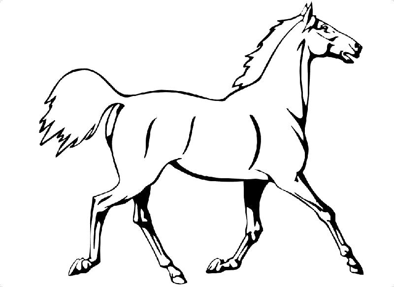 Название: Раскраска Быстрая лошадь. Категория: животных. Теги: животных.