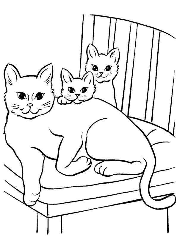 Раскраска  с котятами. Скачать кошка, Котенок.  Распечатать Домашние животные