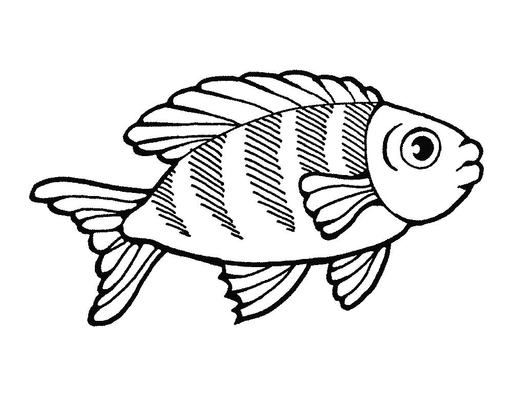 Раскраска с рыбами для детей. Скачай и распечатай