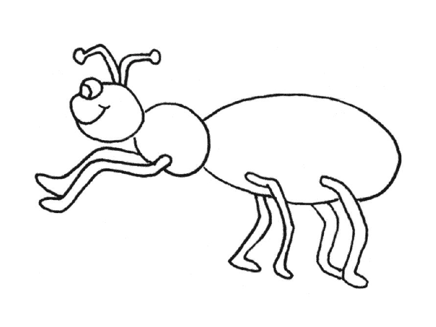 Раскраска Разукрашка муравей детская. Скачать Муравей.  Распечатать Муравей