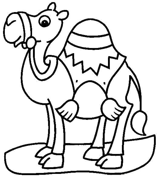 Раскраска одногорбый верблюд. Дикие животные